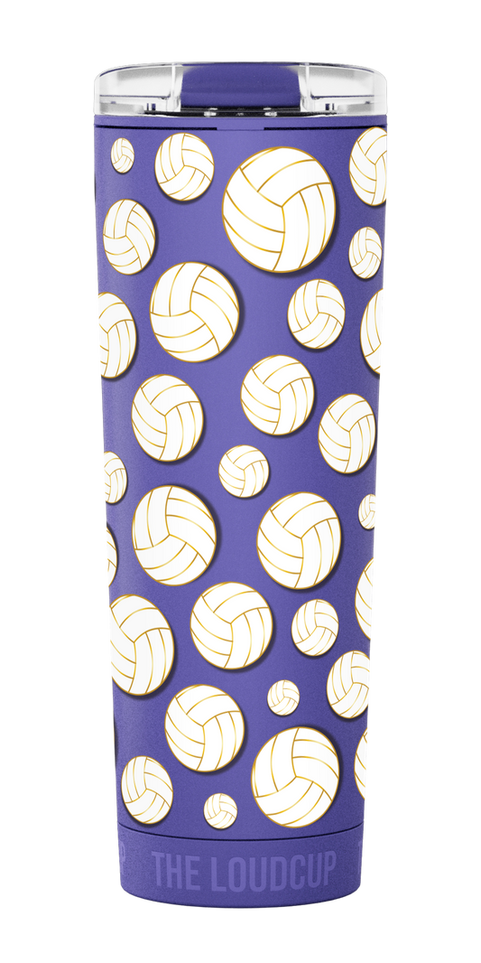 Volleyball